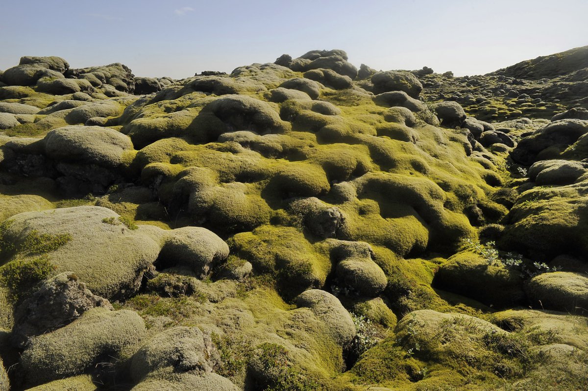 Lava Safari - UNESCO Reykjanes Geopark 